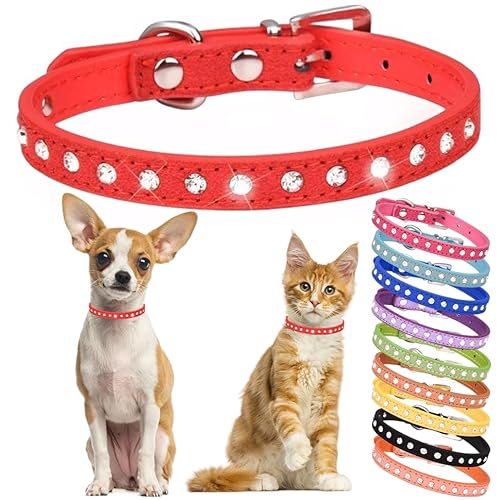 Hotlion Strass-Hundehalsband, süßes Kristalldiamant-Katzenhalsband, weiches Leder, Kätzchen, Welpenhalsbänder, verstellbar, für kleine mittelgroße Hunde, Rot, XXS Hotlion Strass-Hundehalsband, süßes Kristalldiamant-Katzenhalsband, weiches Leder, Kätzchen, Welpenhalsbänder, verstellbar, für kleine mittelgroße Hunde, Rot, XXS von Hotlion