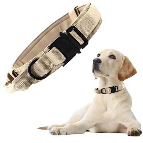 Taktisches Hundehalsband, verstellbares militärisches Trainings-Hundehalsband, geeignet für mittelgroße und große Hunde, braun, 1 Größe XL Taktisches Hundehalsband, verstellbares militärisches Trainings-Hundehalsband, geeignet für mittelgroße und große Hunde, braun, 1 Größe XL von Hotlion