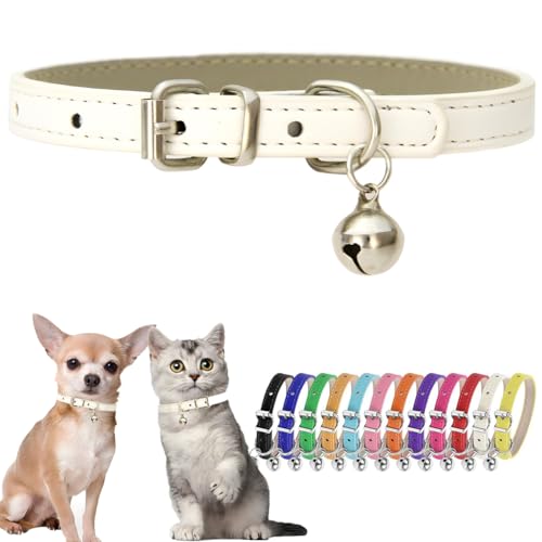Welpenhalsband mit Glöckchen, Kunstleder, für kleine Hunde, verstellbare Schnalle, Kätzchen, Katzenhalsband mit Glöckchen, für XXS, XS, kleine und extra kleine Rassen, Jungen, Mädchen, Haustiere wie von Hotlion