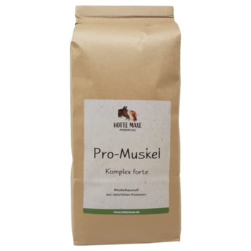 Hotte Maxe Pro-Muskel Komplex forte für Pferde Muskelbaustoff aus natürlichen Proteinen, 2,5kg von Hotte Maxe