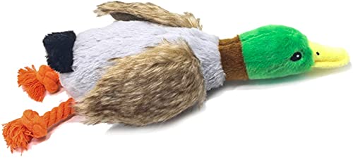 Hotype Quietschende Spielzeug für Hunde, Interaktives Plüschspielzeug für Hunde, Entenform Plüsch Kauspielzeug für Welpen, Langlebiges Spielzeug für Welpen Kleine Mittlere Hunde Hotype Quietschende Spielzeug für Hunde, Interaktives Plüschspielzeug für Hunde, Entenform Plüsch Kauspielzeug für Welpen, Langlebiges Spielzeug für Welpen Kleine Mittlere Hunde von Hotype