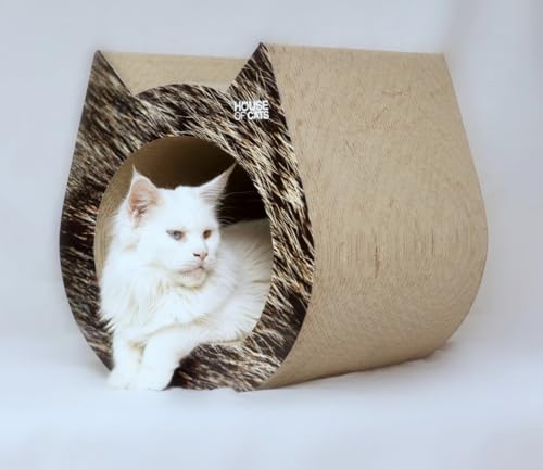 House of Cats - Kratzbaum für Katzen - Katzenkratzbaum - Katzenkratzbaum für Spiel und Entspannung der Katze - langlebige und robuste Materialien - Erholung für Katze - Cat - Haare - 40x42x42cm House of Cats - Kratzbaum für Katzen - Katzenkratzbaum - Katzenkratzbaum für Spiel und Entspannung der Katze - langlebige und robuste Materialien - Erholung für Katze - Cat - Haare - 40x42x42cm von House of Cats