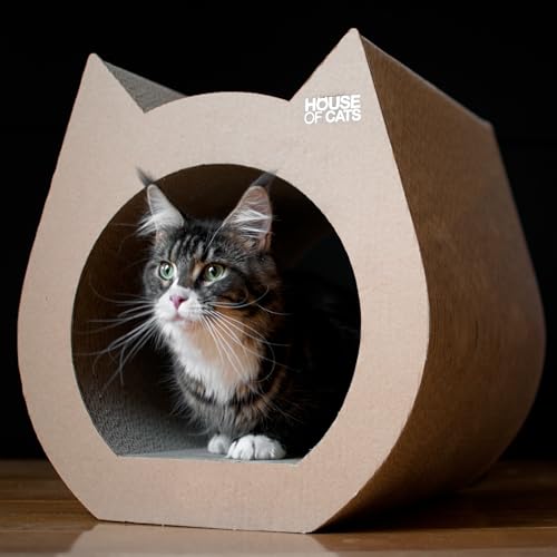 House of Cats - Kratzbaum für Katzen - Katzenkratzbaum - Katzenkratzbaum für Spiel und Entspannung der Katze - langlebige und robuste Materialien - Erholung für Katze - Cat - Natürlich - 40x42x42cm House of Cats - Kratzbaum für Katzen - Katzenkratzbaum - Katzenkratzbaum für Spiel und Entspannung der Katze - langlebige und robuste Materialien - Erholung für Katze - Cat - Natürlich - 40x42x42cm von House of Cats