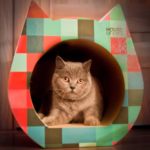 House of Cats - Kratzbaum für Katzen - Katzenkratzbaum - Katzenkratzbaum für Spiel und Entspannung der Katze - langlebige und robuste Materialien - Erholung für Katze - Cat - Würfel - 40x42x42cm House of Cats - Kratzbaum für Katzen - Katzenkratzbaum - Katzenkratzbaum für Spiel und Entspannung der Katze - langlebige und robuste Materialien - Erholung für Katze - Cat - Würfel - 40x42x42cm von House of Cats