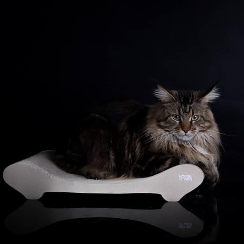 House of Cats - Kratzbaum für Katzen - Katzenkratzbaum - Katzenkratzbaum für Spiel und Entspannung der Katze - langlebige und robuste Materialien - Erholung für Katze - Comfy - Natürlich - 50x27x9cm House of Cats - Kratzbaum für Katzen - Katzenkratzbaum - Katzenkratzbaum für Spiel und Entspannung der Katze - langlebige und robuste Materialien - Erholung für Katze - Comfy - Natürlich - 50x27x9cm von House of Cats