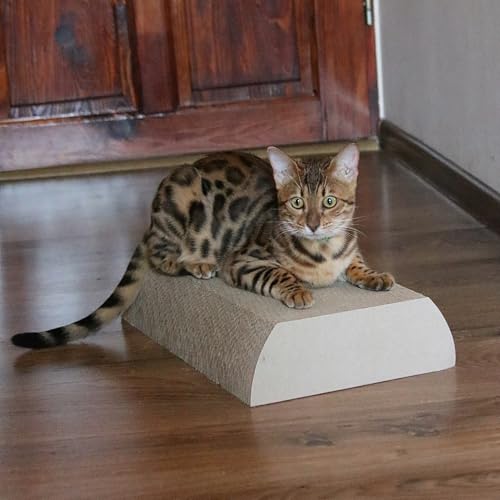 House of Cats - Kratzbaum für Katzen - Katzenkratzbaum - Katzenkratzbaum für Spiel und Entspannung der Katze - langlebige und robuste Materialien - Erholung für Katze - Flat - Natürlich - 25x42x9cm House of Cats - Kratzbaum für Katzen - Katzenkratzbaum - Katzenkratzbaum für Spiel und Entspannung der Katze - langlebige und robuste Materialien - Erholung für Katze - Flat - Natürlich - 25x42x9cm von House of Cats