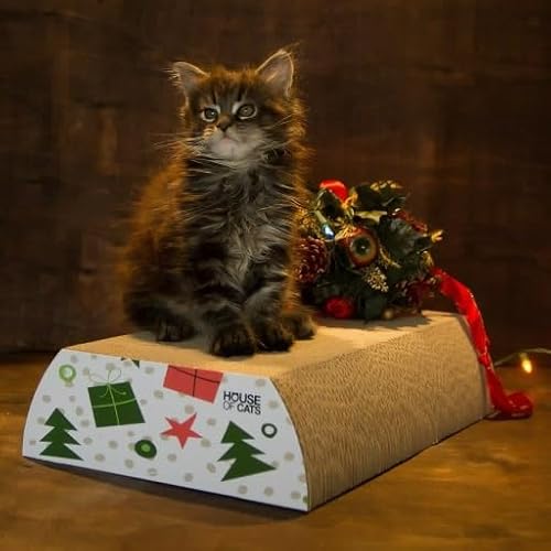 House of Cats - Kratzbaum für Katzen - Katzenkratzbaum - Katzenkratzbaum für Spiel und Entspannung der Katze - langlebige und robuste Materialien - Erholung für Katze - Flat - Weihnachten2-25x42x9cm House of Cats - Kratzbaum für Katzen - Katzenkratzbaum - Katzenkratzbaum für Spiel und Entspannung der Katze - langlebige und robuste Materialien - Erholung für Katze - Flat - Weihnachten2-25x42x9cm von House of Cats