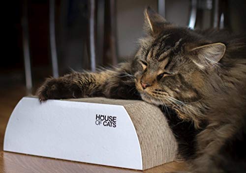 House of Cats - Kratzbaum für Katzen - Katzenkratzbaum - Katzenkratzbaum für Spiel und Entspannung der Katze - langlebige und robuste Materialien - Erholung für Katze - Flat - Weiß - 25x42x9cm House of Cats - Kratzbaum für Katzen - Katzenkratzbaum - Katzenkratzbaum für Spiel und Entspannung der Katze - langlebige und robuste Materialien - Erholung für Katze - Flat - Weiß - 25x42x9cm von House of Cats