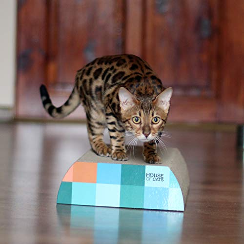 House of Cats - Kratzbaum für Katzen - Katzenkratzbaum - Katzenkratzbaum für Spiel und Entspannung der Katze - langlebige und robuste Materialien - Erholung für Katze - Flat - Würfel - 25x42x9cm House of Cats - Kratzbaum für Katzen - Katzenkratzbaum - Katzenkratzbaum für Spiel und Entspannung der Katze - langlebige und robuste Materialien - Erholung für Katze - Flat - Würfel - 25x42x9cm von House of Cats