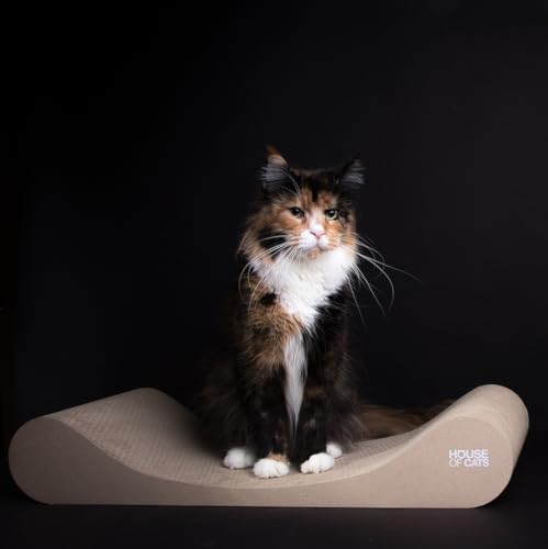 House of Cats - Kratzbaum für Katzen - Katzenkratzbaum - Katzenkratzbaum für Spiel und Entspannung der Katze - langlebige und robuste Materialien - Erholung für Katze - Sofa - Natürlich - 68x27x12cm House of Cats - Kratzbaum für Katzen - Katzenkratzbaum - Katzenkratzbaum für Spiel und Entspannung der Katze - langlebige und robuste Materialien - Erholung für Katze - Sofa - Natürlich - 68x27x12cm von House of Cats