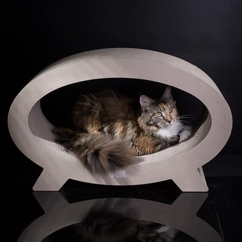 Katzenkratzer Ellipso Eco Katzenkratzer Ellipso Eco von House of Cats
