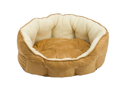 House of Paws Hundebett aus Wildlederimitat und Schaffell, extra groß, oval, maschinenwaschbar, rutschfeste Unterseite und abnehmbares Kissen, Hellbraun House of Paws Hundebett aus Wildlederimitat und Schaffell, extra groß, oval, maschinenwaschbar, rutschfeste Unterseite und abnehmbares Kissen, Hellbraun von House of Paws