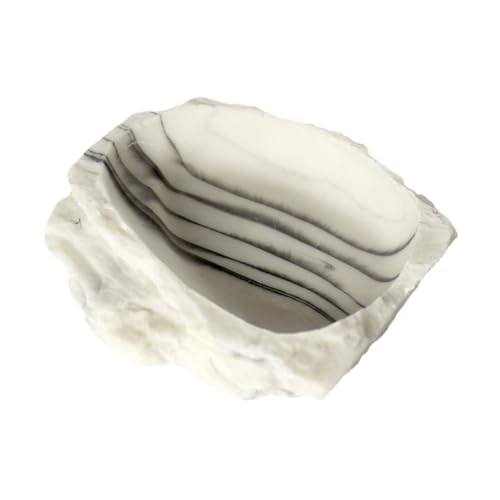 HouseVibe Reptilien-Wassernapf aus Kunstharz, Aquarium-Zubehör, Dekoration, Fütterung, 8,9 x 7,5 x 2,2 cm HouseVibe Reptilien-Wassernapf aus Kunstharz, Aquarium-Zubehör, Dekoration, Fütterung, 8,9 x 7,5 x 2,2 cm von HouseVibe