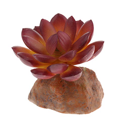 Künstliche Sukkulenten, Dekoration für Reptilien, Aquarium, Bonsai, Dekoration für Schlangen, Frosch, Eidechse, Chamäleon, Schildkröte, Schildkröte Künstliche Sukkulenten, Dekoration für Reptilien, Aquarium, Bonsai, Dekoration für Schlangen, Frosch, Eidechse, Chamäleon, Schildkröte, Schildkröte von HouseVibe
