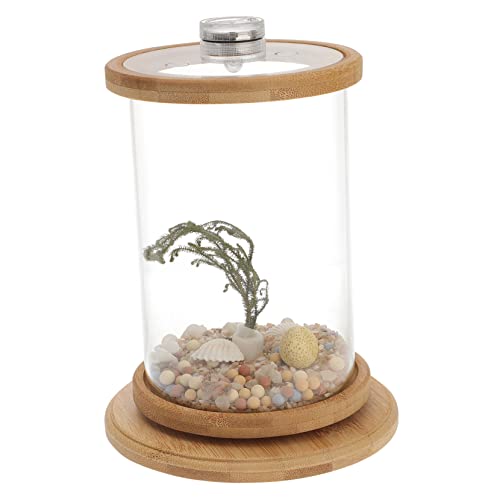 Housoutil 1satz Kreatives Desktop-Aquarium Mit -Beleuchtung Transparenter Mikroszenarium Für Büro Und Wohnbereich Hochwertiges Handgefertigtes Glasdesign Für Aquatische Dekoration Und Housoutil 1satz Kreatives Desktop-Aquarium Mit -Beleuchtung Transparenter Mikroszenarium Für Büro Und Wohnbereich Hochwertiges Handgefertigtes Glasdesign Für Aquatische Dekoration Und von Housoutil