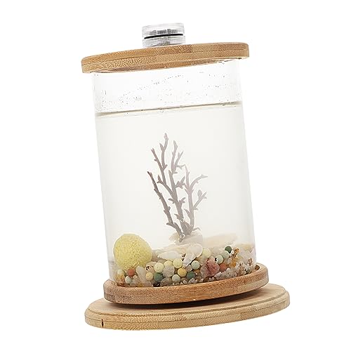 1 Satz Desktop Micro View Aquarium büro Dekoration bürodekorationen kunstpflanze Bürobedarf dekoratives Fischaquarium klein Mikrotank Eco-Flasche Zubehör rotieren schmücken Glas 1 Satz Desktop Micro View Aquarium büro Dekoration bürodekorationen kunstpflanze Bürobedarf dekoratives Fischaquarium klein Mikrotank Eco-Flasche Zubehör rotieren schmücken Glas von Housoutil