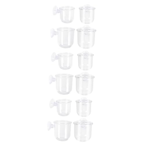 Housoutil Terrarien 12 Stück Feeder Glasgefäß Tank Acryl Glasbehälter von Housoutil