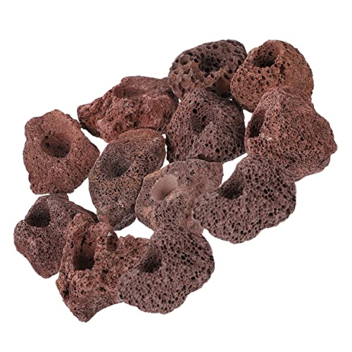 Housoutil 12St Aquatischer Pflanzring Aquarium Dekoration aquaristik zubehör Harzplattform für Schildkröte schwarzer Behälter Felsen Anlage Aquariensteinhöhle Aquariumstein Miniatur Pflanze Housoutil 12St Aquatischer Pflanzring Aquarium Dekoration aquaristik zubehör Harzplattform für Schildkröte schwarzer Behälter Felsen Anlage Aquariensteinhöhle Aquariumstein Miniatur Pflanze von Housoutil