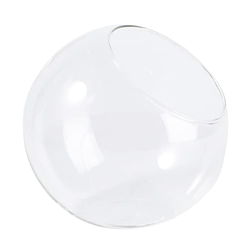 Housoutil 1stück Transparentes Glas Hamster Nest Kühlendes Tierheim Für Kleine Haustiere Geeignet Für Hamster Meerschweinchen Igel Chinchilla Und Vögel Langlebig Und Pflegeleicht Housoutil 1stück Transparentes Glas Hamster Nest Kühlendes Tierheim Für Kleine Haustiere Geeignet Für Hamster Meerschweinchen Igel Chinchilla Und Vögel Langlebig Und Pflegeleicht von Housoutil