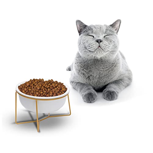 Housoutil Futternapf für Haustiere Keramik Erhöhtes Design 17 8 Cm/800 Ml für Hunde und Katzen Weiß von Housoutil