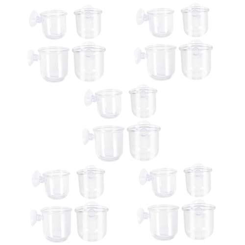Housoutil Terrarien 20 Stück Futterschale Aus Glas Zum Füttern Glasbehälter von Housoutil