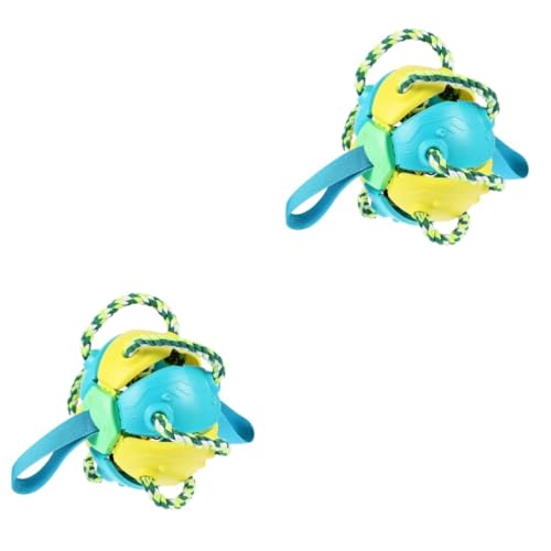 Housoutil 2St Haustier- Wasserspielzeug für Hunde Seilspielzeug für Hunde interaktives Spielzeug outdoorspielzeug Spielzeuge Haustiertraining fliegendes Spielzeug Hundespielzeug kauen von Housoutil