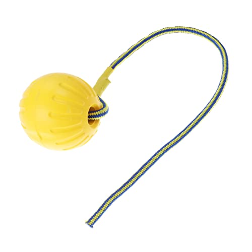 Housoutil 2 Stücke Hohl Seil Hund Spielzeug Für Medium Große Hunde Interaktive Spielzeit Übung Training Spielzeug Housoutil 2 Stücke Hohl Seil Hund Spielzeug Für Medium Große Hunde Interaktive Spielzeit Übung Training Spielzeug von Housoutil
