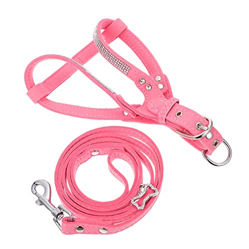 Housoutil 3 Sets Hundeleinen-Set Haustier-Fotografie-Requisite Stilvolles Hundetrainingsseil Für Den Täglichen Gebrauch von Housoutil