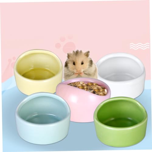 Housoutil 5 Stücke Zufällige Farbe Keramik Pet Schüssel Für Hamster Vogel Für Pet Fütterung von Housoutil