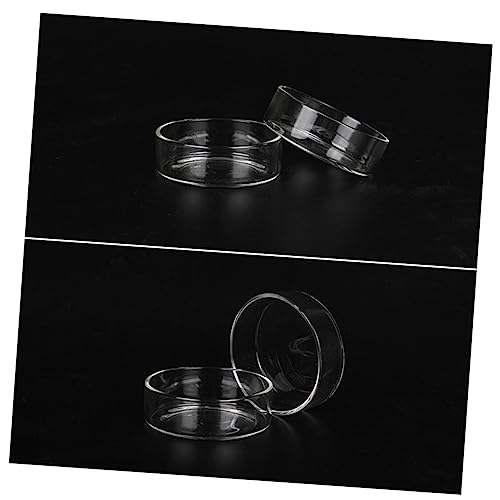 Housoutil Futternapf Für Garnelen Und Fische 5 Stück Rund Glas Garnelenfutterbecken Kristall Garnelenfutternapf Glatt Housoutil Futternapf Für Garnelen Und Fische 5 Stück Rund Glas Garnelenfutterbecken Kristall Garnelenfutternapf Glatt von Housoutil