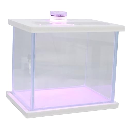 Housoutil Aquarium Desktop-dekor Fischbehälter Kleines Terrarium Riffbecken Heimisches Fischbecken Aquarien-Starter-kit Klares Fischbecken Tischdekoration Büro Glas Einfach Dekorationen Weiß von Housoutil