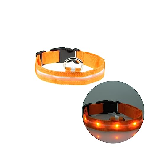 Housoutil 2 5 cm Nylon Haustier Hundehalsband Licht-up Blinkende Glow in Dark Orange Größe XL Nacht von Housoutil