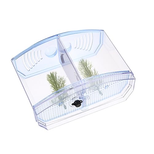 Housoutil Mini Fischbecken Für Kampffische Transparentes Aquarium Für Zuhause Büro Desktop Als Laichkasten Oder Aufzuchtbecken Einfach Zu Reinigen Dekorieren Fach Unterteiltes Design Für Housoutil Mini Fischbecken Für Kampffische Transparentes Aquarium Für Zuhause Büro Desktop Als Laichkasten Oder Aufzuchtbecken Einfach Zu Reinigen Dekorieren Fach Unterteiltes Design Für von Housoutil