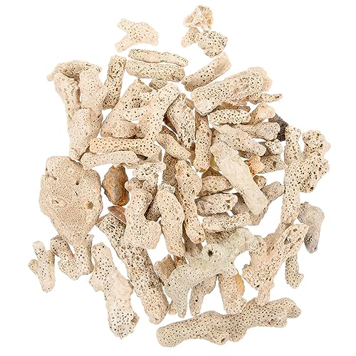 Housoutil Crushed Coral, 500g Coral Rock, wiederverwendbare Landschaftsgestaltung Dekoration für Fischhalter und Aquarium-Enthusiasten Housoutil Crushed Coral, 500g Coral Rock, wiederverwendbare Landschaftsgestaltung Dekoration für Fischhalter und Aquarium-Enthusiasten von Housoutil
