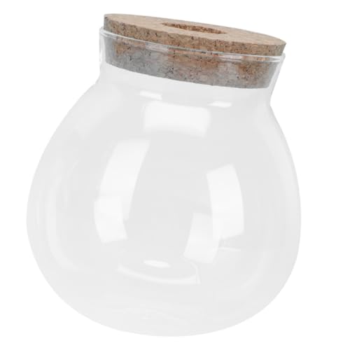 Housoutil Glas-Terrarium Für Fische Transparentes Pflanzgefäß Für Hydroponik Für Mikrolandschaften Wohnzimmer Und Bürodekoration Langlebig Und Stilvoll Housoutil Glas-Terrarium Für Fische Transparentes Pflanzgefäß Für Hydroponik Für Mikrolandschaften Wohnzimmer Und Bürodekoration Langlebig Und Stilvoll von Housoutil