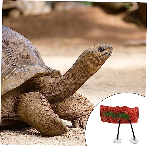 Housoutil Hebeplattform Für Schildkröten Schleichtiere Schildkröten-terrasse Reptil Umweltfreundliches Schaumstoffmaterial von Housoutil