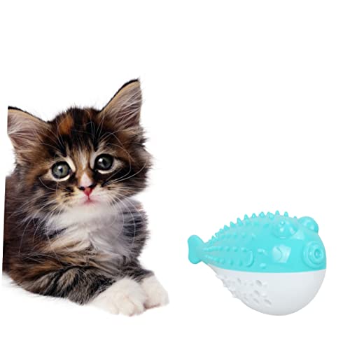 Housoutil Katze Spielzeug für Haustiere Kauspielzeug zahnspielzeug für kätzchen Beißspielzeug Kätzchen Spielzeug Reinigungsspielzeug Spielzeuge Zahnbürsten Backenzahn Notiz von Housoutil
