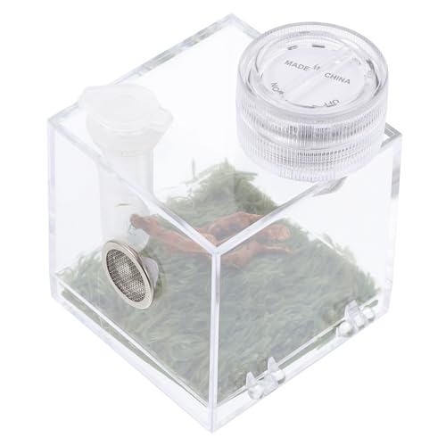 Housoutil Kasten Springspinnen-Zuchtbox Reptiliengehege Springender Spinnenlebensraum Mini-Luftbefeuchter Spinnenträger Spinnenlebensraumhalter Mittel Container Insekt Terrarium Zubehör Holz von Housoutil