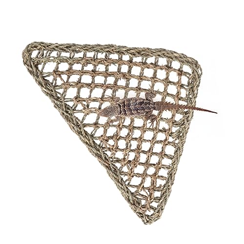 Housoutil Hundehütte Haustierhütte Eidechsen-Hängemattenbett Hängematte für Reptilien Hängematte für Echsen Hängematte aus Grasfasern Tierkäfig zum Aufhängen Rattan Housoutil Hundehütte Haustierhütte Eidechsen-Hängemattenbett Hängematte für Reptilien Hängematte für Echsen Hängematte aus Grasfasern Tierkäfig zum Aufhängen Rattan von Housoutil
