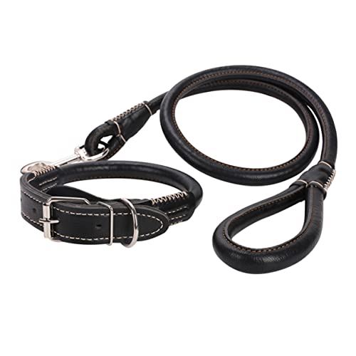 Housoutil Praktisches Haustier-zugseil-hundetrainingshalsband Aus Nylonmaterial Schwarz Größe S Hundewelpenausrüstung Housoutil Praktisches Haustier-zugseil-hundetrainingshalsband Aus Nylonmaterial Schwarz Größe S Hundewelpenausrüstung von Housoutil