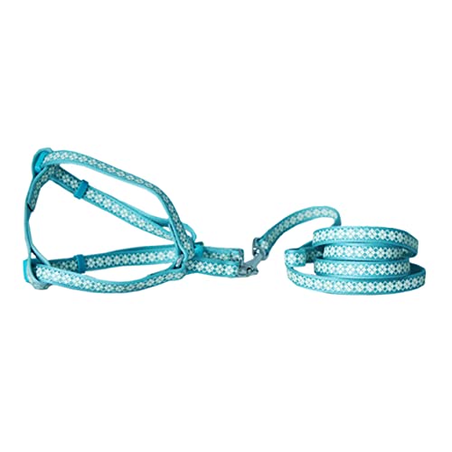 Housoutil Starke Strapazierfähige Hundeleine Reflektierendes Strickdesign für Welpen und Kätzchen Housoutil Starke Strapazierfähige Hundeleine Reflektierendes Strickdesign für Welpen und Kätzchen von Housoutil