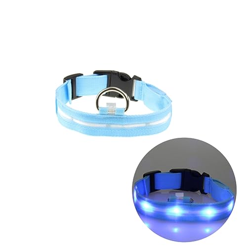Housoutil Hundehalsband -leuchten Blinkend Glow Dark Circular Design Hundehalsband Nacht Sicherheitslicht S Größe von Housoutil