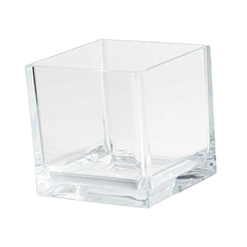 Housoutil Mini-Aquarium Kleine Tischvase Aus Glas Mit Fischmuster Kleines Aquarium 10-gallonen-Aquarium 5-gallonen-Aquarium Schale Fischbecken Terrarien STK Kleine Schildkröte Fisch Zubehör von Housoutil