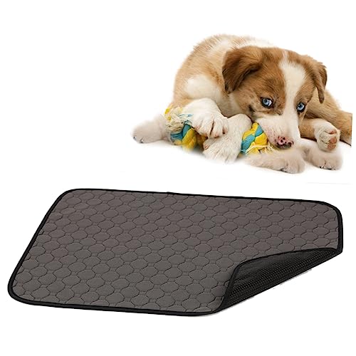 Housoutil Waschbare Trainingsunterlage Für Haustiere Pinkelunterlagen Für Hunde - Grau S Housoutil Waschbare Trainingsunterlage Für Haustiere Pinkelunterlagen Für Hunde - Grau S von Housoutil