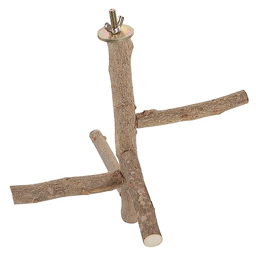 Housoutil Papagei Sitzstange für Käfig Holz Vogel Sitzstangen Natürlichen Zweig Vogel Stehen Pole für Ara Fink Housoutil Papagei Sitzstange für Käfig Holz Vogel Sitzstangen Natürlichen Zweig Vogel Stehen Pole für Ara Fink von Housoutil