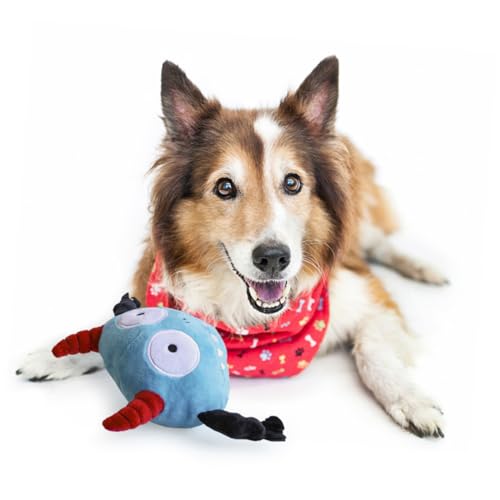 Housoutil Plüsch Halloween-Leckereien Halloween-Gefälligkeiten Flauschige Kuscheltiere Halloween- de porristas Spielzeug Bälle für Hunde Hundebälle singen Pet-Ball Hundeball Housoutil Plüsch Halloween-Leckereien Halloween-Gefälligkeiten Flauschige Kuscheltiere Halloween- de porristas Spielzeug Bälle für Hunde Hundebälle singen Pet-Ball Hundeball von Housoutil