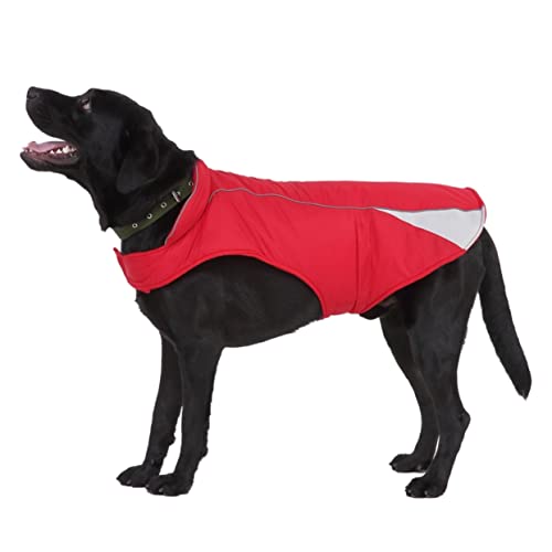 Housoutil Outdoor Hundemantel Für Hunde Reflektierende Jacke Rot Für Outdoor-aktivitäten Bequem Und Langlebig Für Partys Und Fotoshootings Housoutil Outdoor Hundemantel Für Hunde Reflektierende Jacke Rot Für Outdoor-aktivitäten Bequem Und Langlebig Für Partys Und Fotoshootings von Housoutil