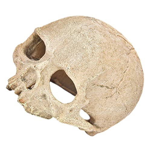 Housoutil Totenkopfdekoration Aus Kunstharz Kleine Garnelenhöhlen Betta Versteckt Höhle -kopfdekor Aus Kunstharz Halloween-schädel-Ornament Aquarium Zubehör Für Aquarien Housoutil Totenkopfdekoration Aus Kunstharz Kleine Garnelenhöhlen Betta Versteckt Höhle -kopfdekor Aus Kunstharz Halloween-schädel-Ornament Aquarium Zubehör Für Aquarien von Housoutil