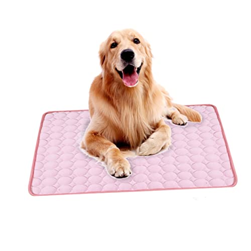 Housoutil Haustierkissenbett Gemütliches Innenpolster Für Katzen Und Hunde Abnehmbares Design 50 X 40 cm Housoutil Haustierkissenbett Gemütliches Innenpolster Für Katzen Und Hunde Abnehmbares Design 50 X 40 cm von Housoutil