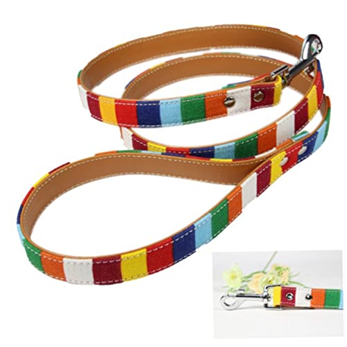 Housoutil leintuch Canvas Steuerung kontrollieren Stilvoll Funky Hunde Gurt Trainingsleine für Hunde Heimtiertraining führen Regenbogenleine Hundetraining führen Haustier Leinen Halsband Housoutil leintuch Canvas Steuerung kontrollieren Stilvoll Funky Hunde Gurt Trainingsleine für Hunde Heimtiertraining führen Regenbogenleine Hundetraining führen Haustier Leinen Halsband von Housoutil